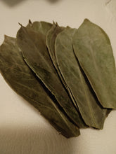 Load image into Gallery viewer, Soursop Leaves
